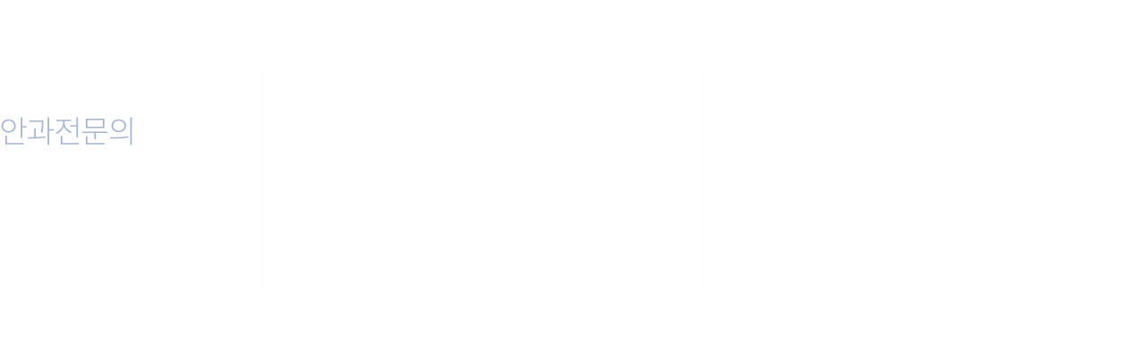 의료진약력