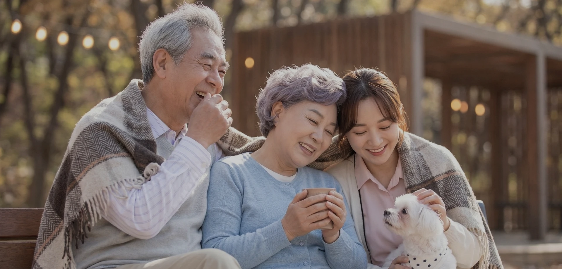 정상적인 시야