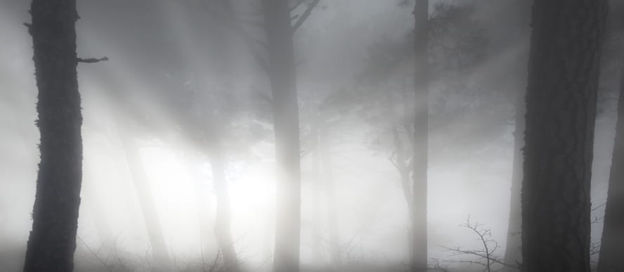 안개 낀 듯한 흐릿함